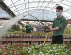 Masked staff at Dobbies